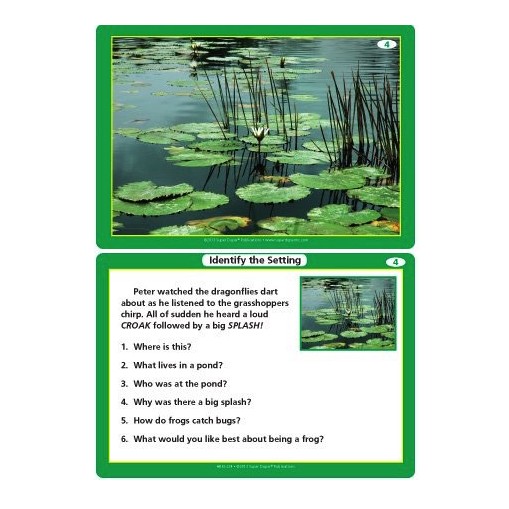 Webber® Inferencing BIG Deck