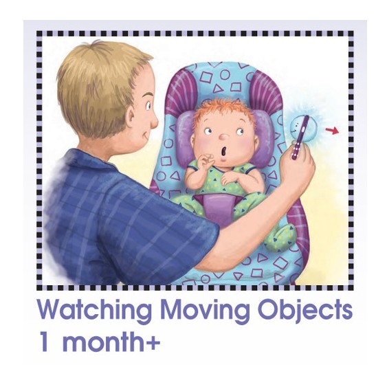 SmartNoggin Noggin Stik Developmental Light-up Rattle