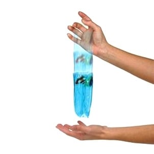 Sea Life Water Snake