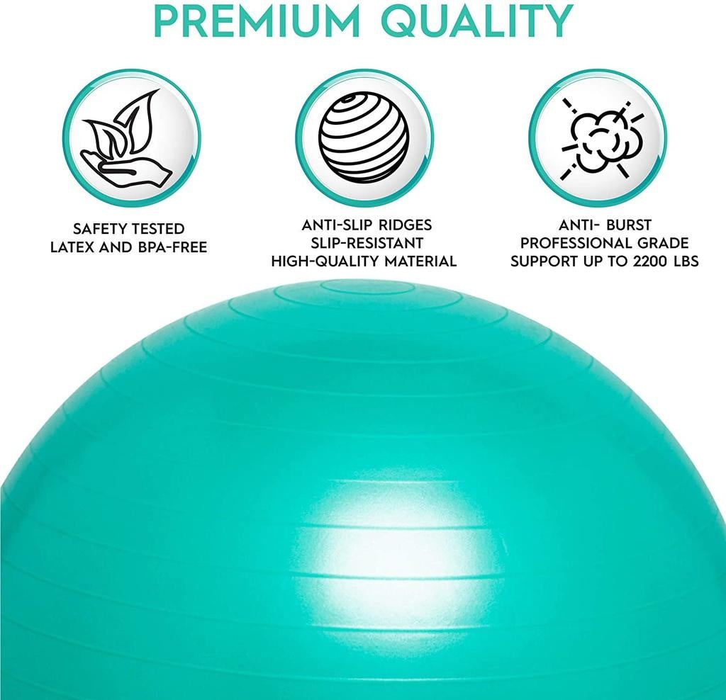 Weighted Balance Ball Chair