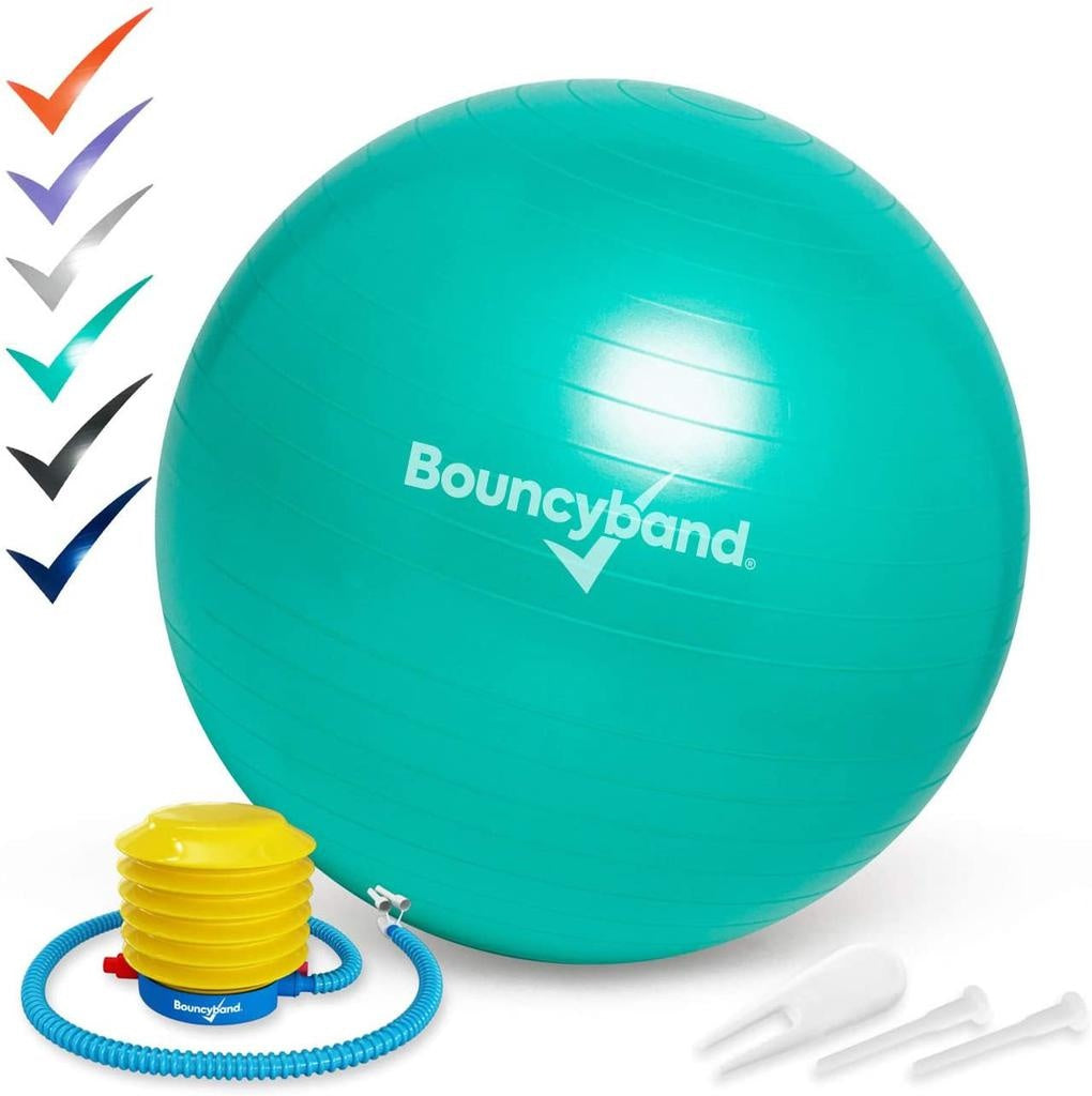 Weighted Balance Ball Chair