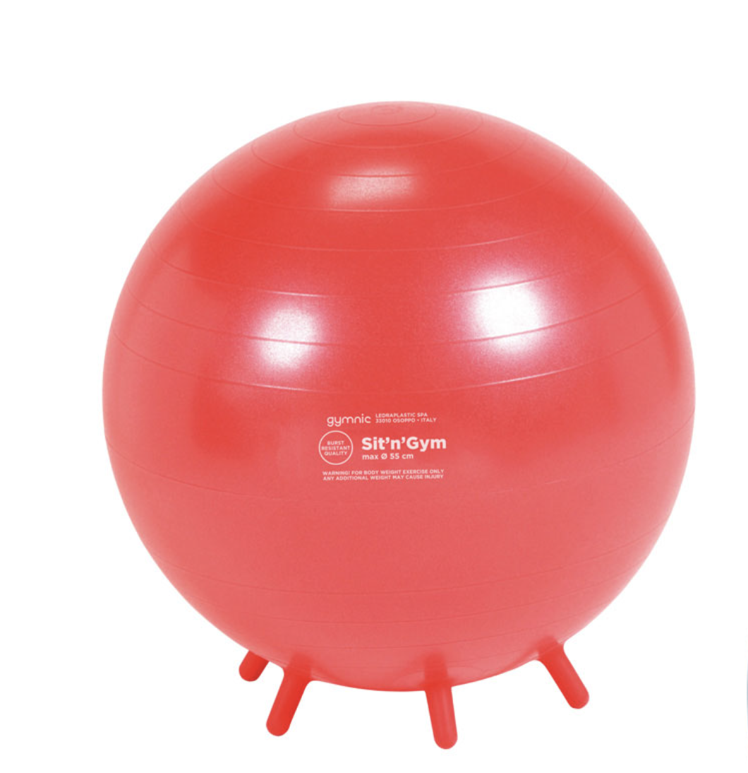 Gymnic Sit 'n' Gym Ball Chair