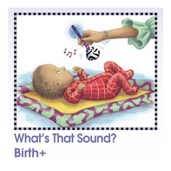 SmartNoggin Noggin Stik Developmental Light-up Rattle