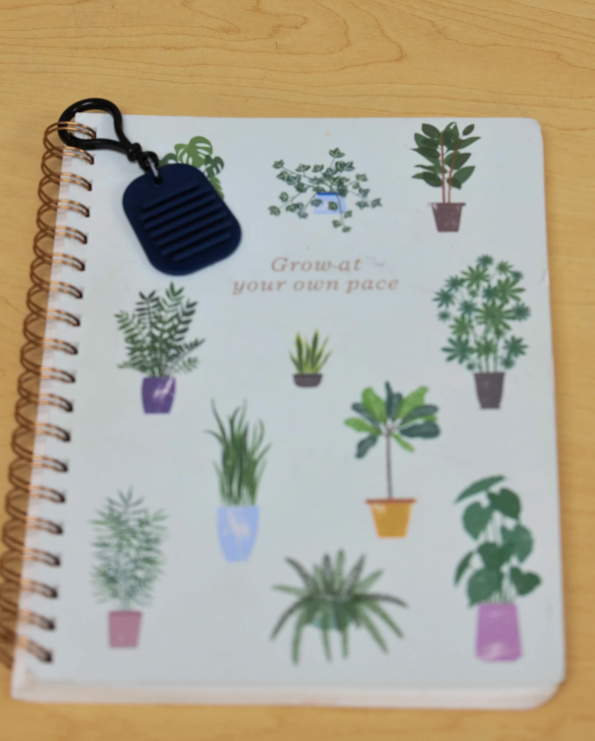 Calming Clips by Bouncyband®