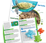 Tactile Turtles Math Activity Set