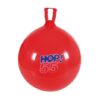Gymnic Hop-55 Ball 22” - Image 2
