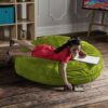 JAXX Kids 4ft Microsuede Multi-Functional Cocoon Chair & Crash Pad - Image 2