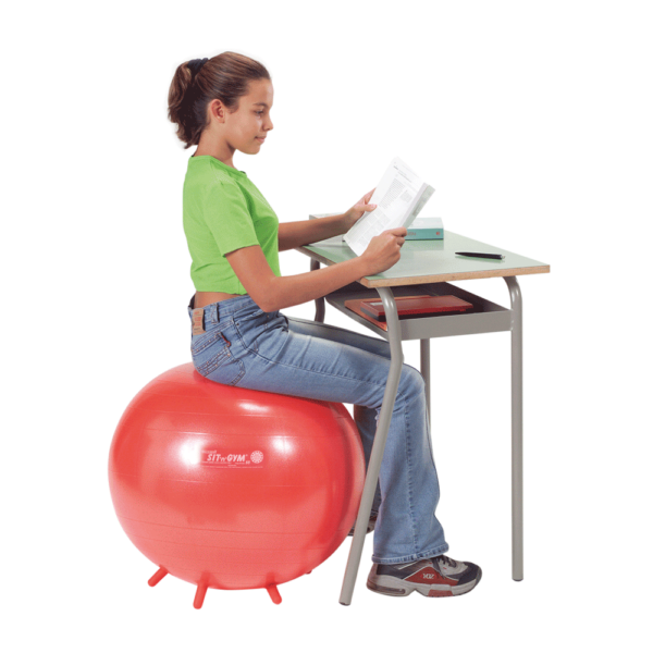 Gymnic Sit 'n' Gym Ball Chair