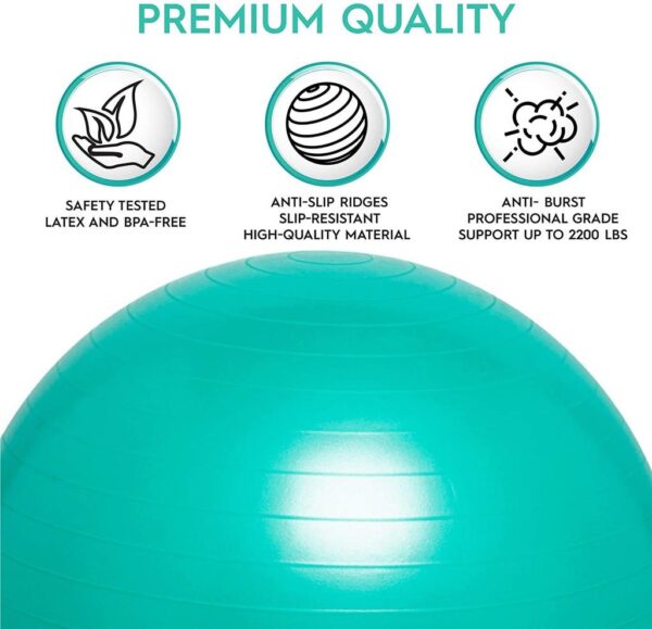 Weighted Balance Ball Chair - Image 6