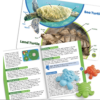 Tactile Turtles Math Activity Set - Image 9