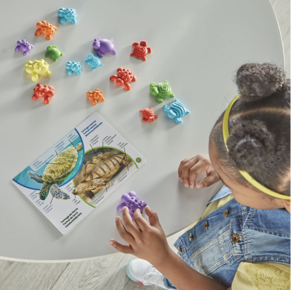 Tactile Turtles Math Activity Set - Image 8